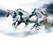 省内排行前十，设计、施工实力排前